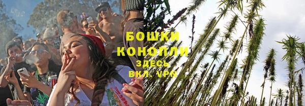 гидра Покачи