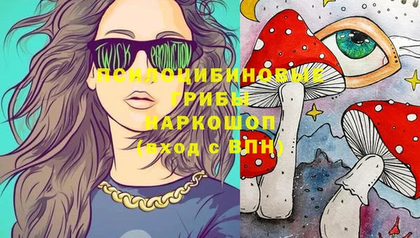 spice Алексеевка