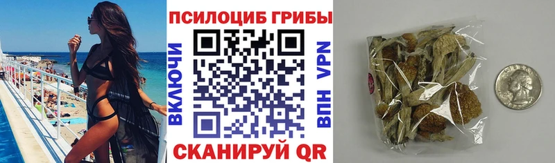 Псилоцибиновые грибы MAGIC MUSHROOMS  Шумиха 